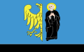 Flaga miasta Czechowic-Dziedzic Flaga miasta Czechowic-Dziedzic